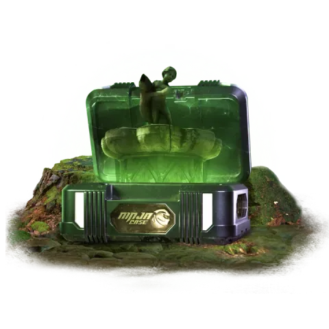 Case