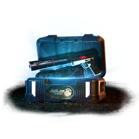 Case