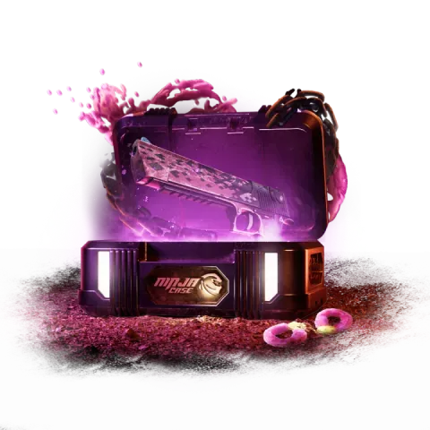 Case
